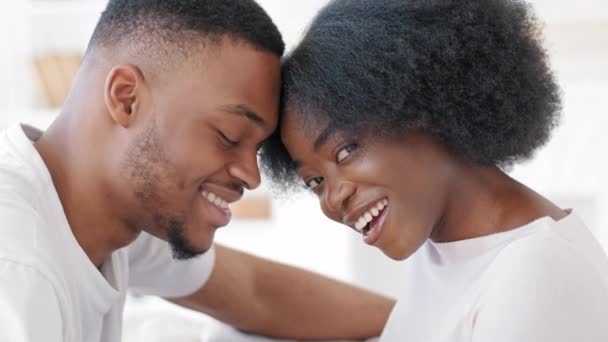 Amante jovem casal africano ligação rindo sorrindo tocando as testas juntos olhando para a câmera, homem afro milenar romântico e mulher negra feliz ficando mais perto desfrutando momento de afeto em casa — Vídeo de Stock