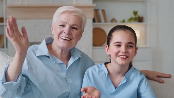 Little 8 jaar oud schattig meisje en glimlachende senior volwassen dame zitten op de bank woonkamer golf hand begroeten relatieve persoon met behulp van online telecommunicatie applicatie video oproep virtuele talk concept — Stockvideo