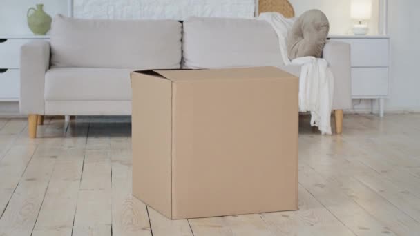 Paquete de caja de cartón grande grande se encuentra en el suelo en el interior de la sala de estar cerca del sofá inesperadamente feliz niña niña pequeña hija niño saltando desde el interior del paquete haciendo sorpresa sonriendo — Vídeos de Stock