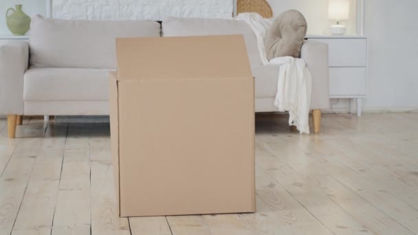 Living room interior sofa large cardboard box on floor in new house little girl child daughter unexpected jumps out of parcel smiles spreading arms to sides makes surprise,family relocation concept — Stock Video