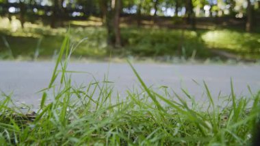 Kadın ayaklarının yakın çekimi, koşucu koşucu siyah spor ayakkabılar ve rahat spor ayakkabılar giyiyor. Pistte koşuyor, sabah koşuyor, spor yapıyor, spor yapıyor, spor yapıyor.