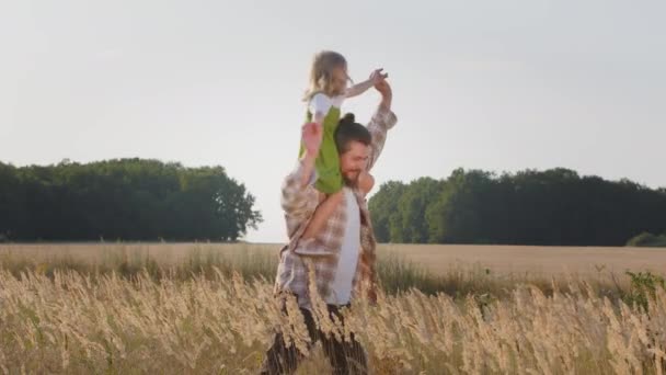 思いやりのある父beaded男パパstandsで小麦畑で自然の夏の日保持小さな娘子供周りに彼の首小さな女の子遊びますとともに親で飛行機飛行ダンスパイロットゲーム — ストック動画