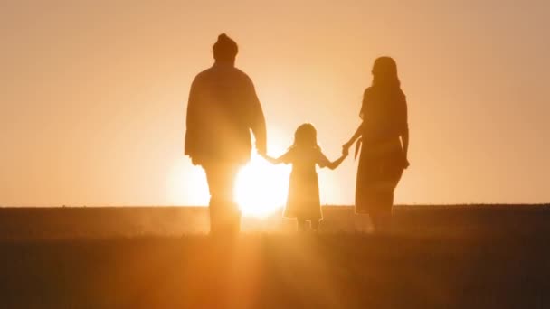 La silueta de tres personas la familia los parientes los padres con el niño pequeño la hija que toma de la mano el caminar que camina va en el campo de trigo al aire libre en el telón de fondo de la naturaleza de los rayos del sol del atardecer los rayos del sol — Vídeos de Stock