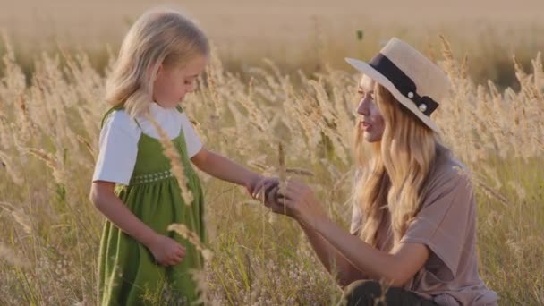 Caucásico joven madre mujer en sombrero se sienta en el campo con niña linda hija niño sostiene bebé niño a mano hablando conversación de comunicación jugando con espiguillas plantas de trigo juega al aire libre — Vídeo de stock