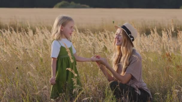 生态学农艺学上，年轻的高加索妇女母亲头戴帽子坐在麦田里，女儿与小女孩牵着手交谈，讲解黄草小穗的背景 — 图库视频影像