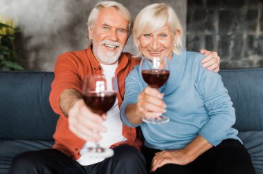 Neşeli Kafkasyalı yaşlı eşler evlerinde kanepede oturmuş ellerinde şarapla kameraya bakıyor ve gülümsüyor.