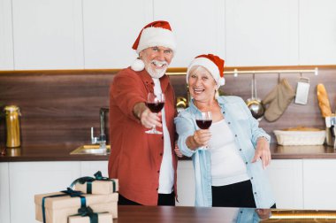 Noel şapkalı yaşlı çift yeni yılı selamlıyor ve kameraya şarap kadehleriyle 