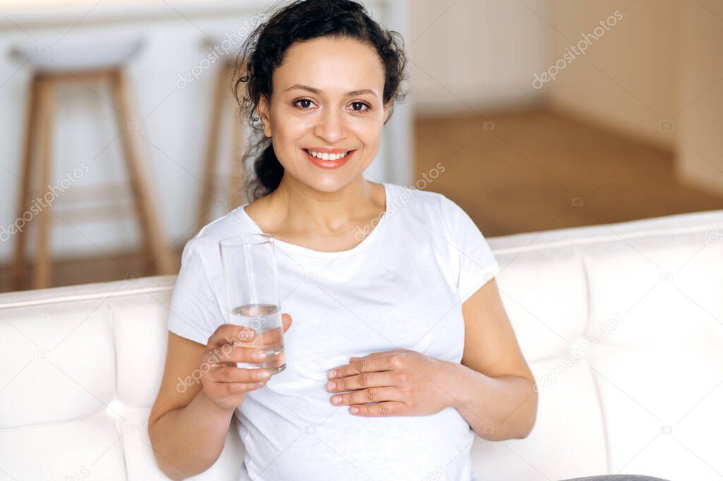 Pretty attractive healthy mixed race woman sitting at home in living room, living healthy lifestyle, drinking daily amount of water, holding glass of clean water, looking at camera, smiling