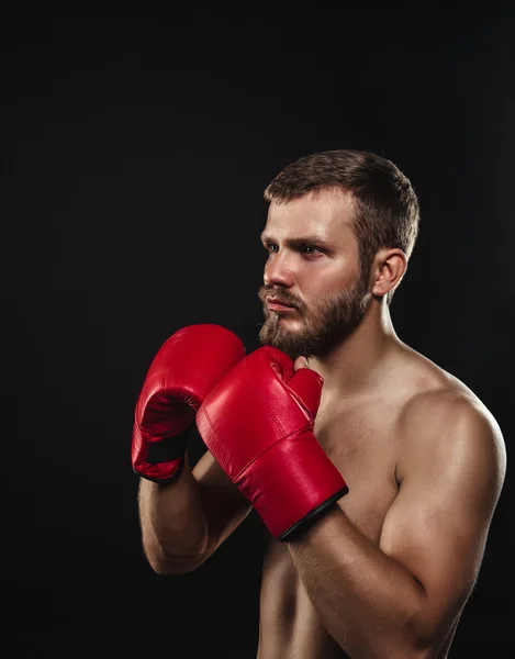 Sportovní vousatý boxer s rukavicemi na tmavém pozadí — Stock fotografie