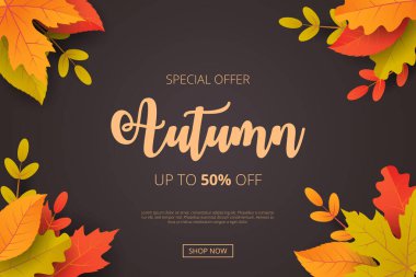 Sonbahar indirimli arka planda yapraklar. Alışveriş satışı, tanıtım afişi, afiş, el ilanı, davetiye, internet sitesi veya tebrik kartı olarak kullanılabilir. Vektör illüstrasyonu