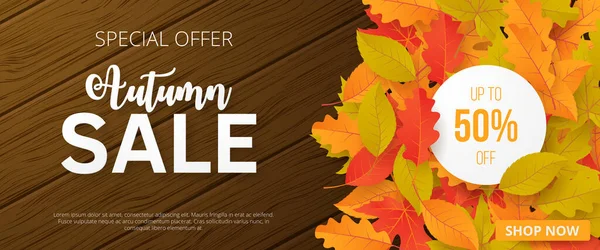 Banner Venta Otoño Con Hojas Puede Utilizar Para Venta Compras — Vector de stock