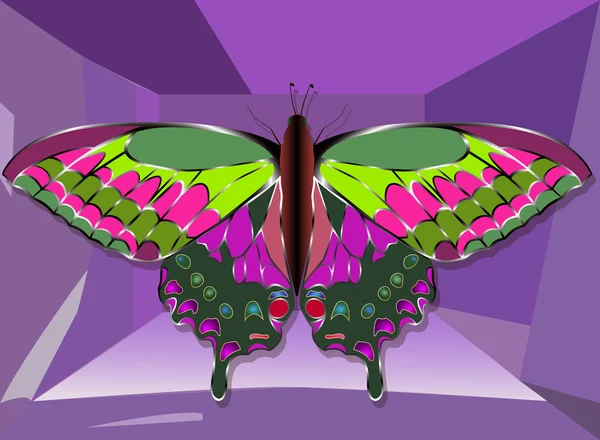 Bijoux papillon or avec pierres précieuses. Fond noir . — Image vectorielle