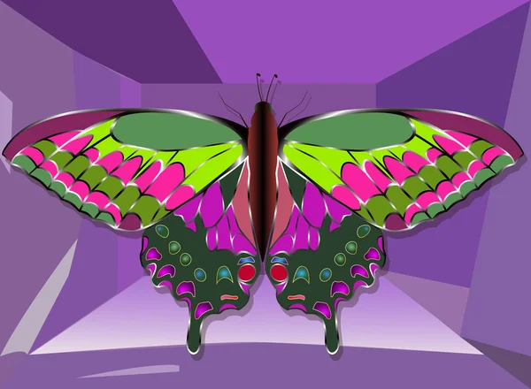 Joyas de mariposa de oro con piedras preciosas. Fondo negro . — Vector de stock