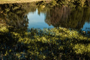 Kasimovsky bölgesindeki Oka Nehri manzarası, Ryazan Oblastı, Rusya