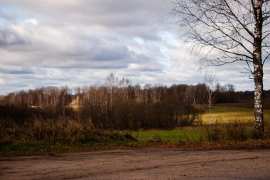 Rusya sahasında güneşli bir günde, Yelnya, Smolensk Oblastı, Rusya