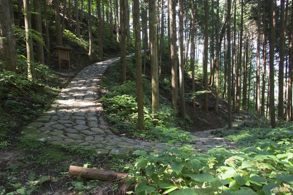 Takayama old route — Stock Photo, Image