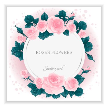 Gül çiçekli ve yuvarlak gümüş çerçeveli tebrik kartı. Hassas gül çiçekleri ve pembe arka planda çiy damlaları. Vektör