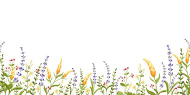 Güzel çiçekler ve yatay beyaz arkaplan. Bahar çiçekleri ile kır çiçekleri sınırı. Davetiyeler, baskılar ve tasarım dekoru için mükemmel, Paskalya