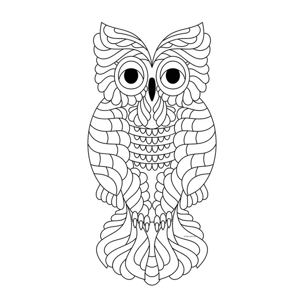 Hand Drawn Owl Bird Coloring Book Page Adult Kids Vector — Stock Vector