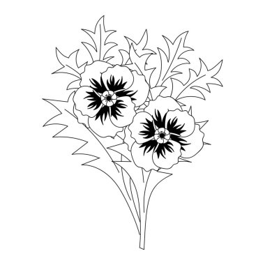 Coloring book, flowers flowers and leaves of poppies . Hand drawn Vector illustration.