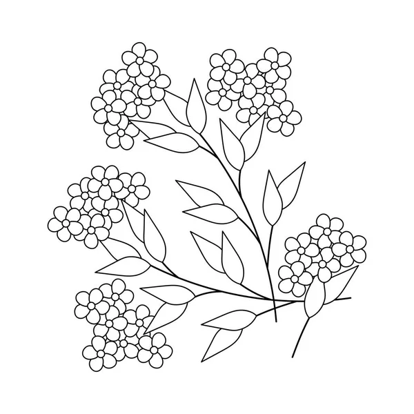 Coloring Book Forget Flowers Simple Design Vector Illustration — Stok Vektör