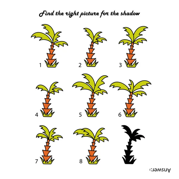 Encuentra Imagen Adecuada Para Sombra Bonitas Palmeras Plantas Tropicales Ilustración — Vector de stock