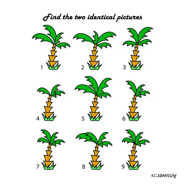 Find Two Same Pictures Palm Trees Tropical Plants Puzzle Game — Vector de stock
