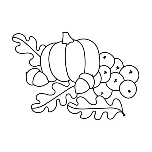 Livre à colorier pour enfants. Dessin animé feuilles d'automne, citrouille, glands rowan baies. — Image vectorielle
