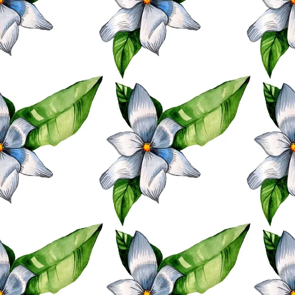 watercolor pattern magnolia flowers, white magnolia, seamless vintage pattern