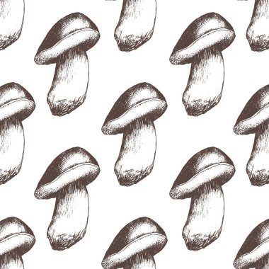 Orman bitkileri ve mantarlar dikişsiz desen. Yonca, sardunya, menekşe, Rhodiola Rosea, Meyan kökü Bolete, Morel ve Shimeji. El çizimi. Kırmızı ve beyaz. Eski model. Vektör illüstrasyon sanatı