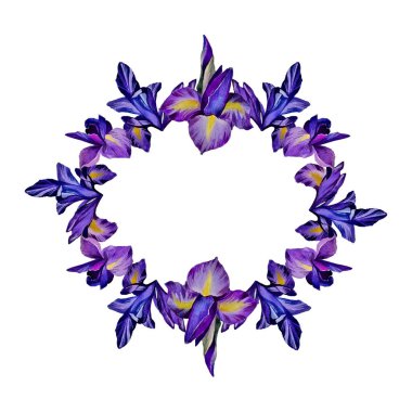 Suluboya çiçekli bahar yatay deseni, süsen çiçekleri, nergis, yabani göz. Bitki afişi. retro renkleri