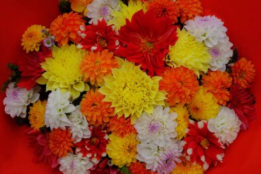 Sonbahar çiçeklerinden harika bir buket