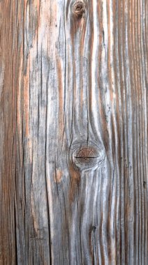 Tahtanın dokusu, yapısal yapısı