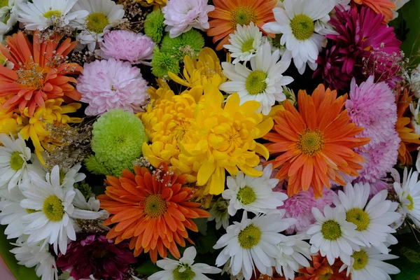 Maravilhoso Buquê Flores Outono — Fotografia de Stock