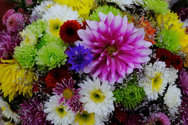 Bouquets Flores Para Design Decorativo — Fotografia de Stock
