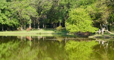 Güzel Doğal Yansıma. Doğa Arkaplanı.