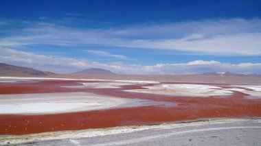 Uyuni, Bolivya 'da Laguna Colorada (Kızıl Göl) ve Andean Flamingoları.