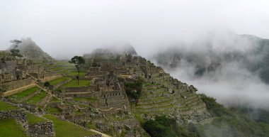 Peru 'daki Machu Picchu Antik Harabeleri