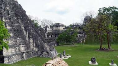 Tikal Maya Harabeleri. Antik Maya Tapınağı. Peten, Guatemala - 5 Mayıs 2017