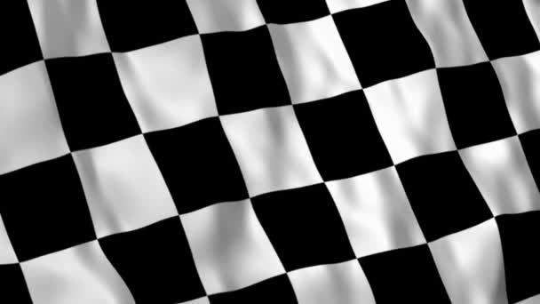 Racing flag animation — Stock Video