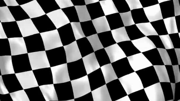 Racing flag animation — Stock Video