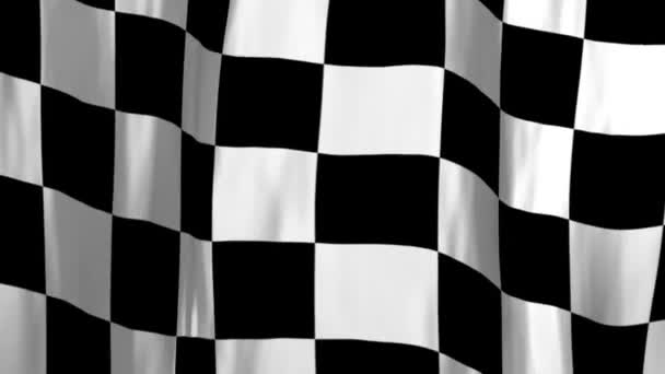 Bandera de carreras a cuadros — Vídeo de stock