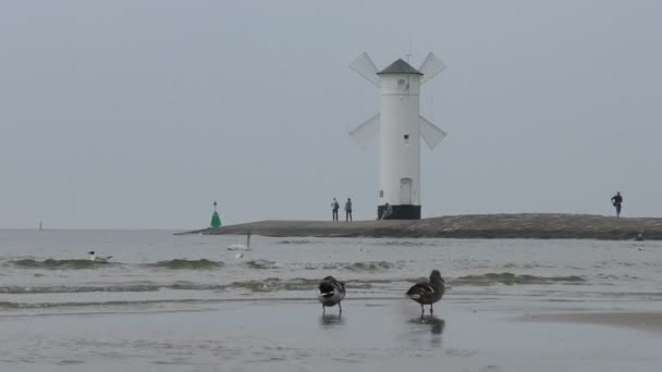 Lighthouse windmill in Swinoujscie — Stock Video
