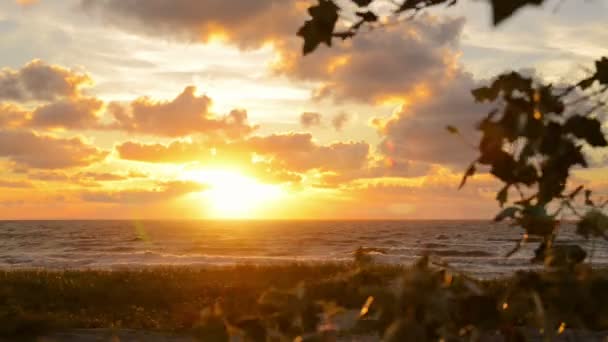 Coucher de soleil magnifique mer — Video