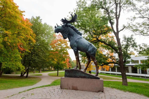 Vyborg Rusia Sep 2019 Escultura Bronce Alce Fue Instalada Vyborg — Foto de Stock