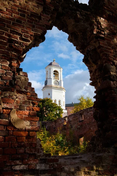 Vyborg Rusko Sep 2019 Hodinová Věž Zříceninou Starého Chrámu Místní — Stock fotografie