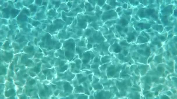 Water Surface Background Animation Caustics Ripple — Stock Video