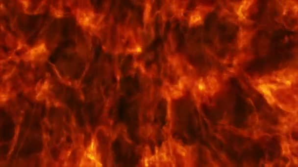 Flames Burning Black Background — Stock Video