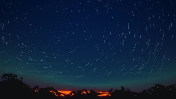 Sporen Van Sterren Tegen Nachtelijke Hemel — Stockvideo