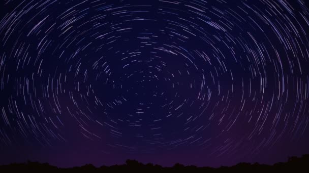 밤하늘을 배경으로 별들의 — 비디오
